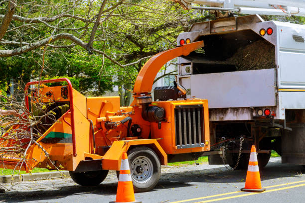 Best Tree and Shrub Care  in Forest Hills, PA